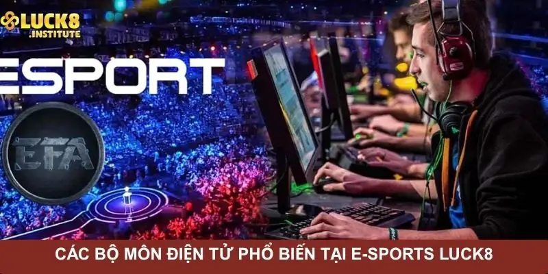 E-Sports Luck8 Và Loạt Kèo Đấu Được Yêu Thích Nhất 2025 3 cac-bo-mon-dien-tu-pho-bien-tai-e-sports-luck8