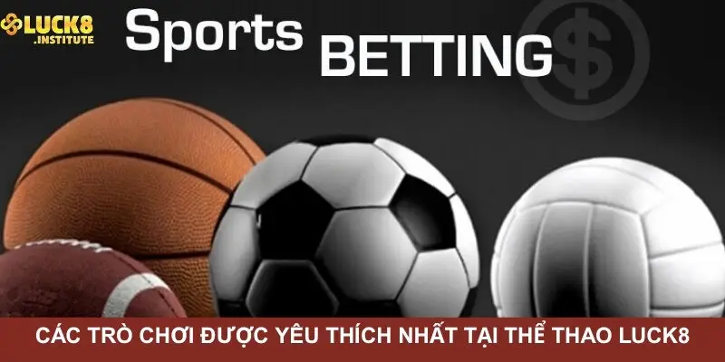 Thể Thao Luck8 Và Những Lựa Chọn Đáng Chú Ý Nhất 2025 3 Cac-tro-choi-duoc-yeu-thich-nhat-tai-the-thao-Luck8